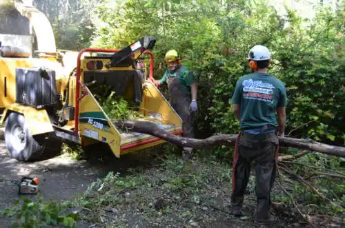 tree services Keyes